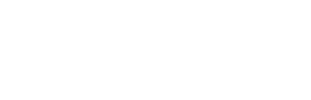 Partner 9