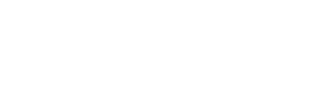 Partner 6